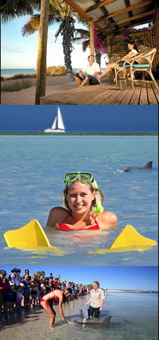 Monkey Mia WA Geraldton Accommodation