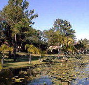 Twin Lakes Hotel - Geraldton Accommodation