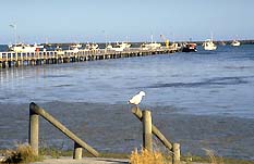 Port Macdonnell SA Geraldton Accommodation