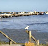 Seaview Motel and Holiday Units - Geraldton Accommodation