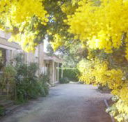 Surfcoast Retreat - Geraldton Accommodation