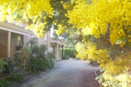 Surfcoast Retreat - Geraldton Accommodation 0