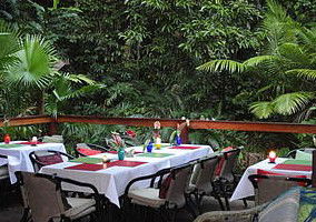 Daintree Rainforest Retreat Motel - Geraldton Accommodation 1