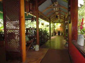 Daintree Rainforest Retreat Motel - Geraldton Accommodation 2