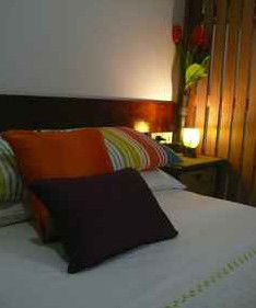 Daintree Rainforest Retreat Motel - Geraldton Accommodation 3
