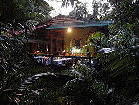 Daintree Rainforest Retreat Motel - Geraldton Accommodation 4