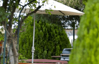 Beechworth Carriage Motor Inn - Geraldton Accommodation 3