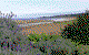 A Great Ocean View Motel - thumb 2