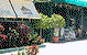 Sebel Maroochydore - thumb 3