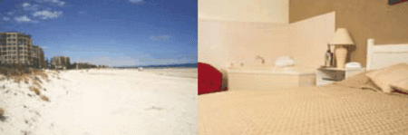 Buffalo Motor Inn - Geraldton Accommodation 4