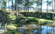 Tallowood Ridge Farmstay B - thumb 1