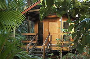 Cape Tribulation QLD Geraldton Accommodation