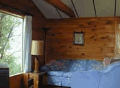 The Pines Resort - Geraldton Accommodation 0