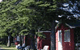 The Pines Resort - thumb 3