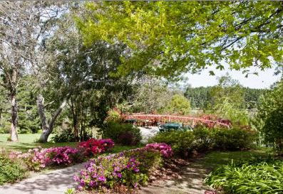 Bilpin Resort - Geraldton Accommodation 2