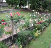 Kintail Homestay - Geraldton Accommodation