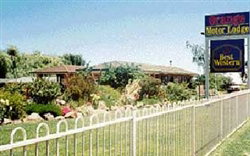 Orange Motor Lodge - Geraldton Accommodation 5