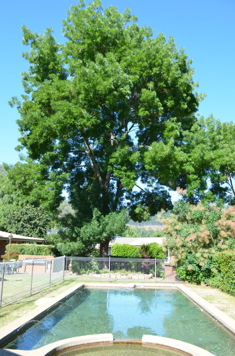 Bright Colonial Inn Motel - Geraldton Accommodation 4