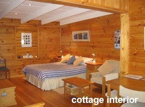 Anglesea Rivergums - Geraldton Accommodation 0