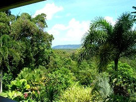 Daintree Manor - Geraldton Accommodation 3