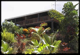 Daintree Manor - Geraldton Accommodation 5