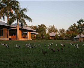 Jingili NT Geraldton Accommodation