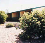 The Fig Tree Bed  Breakfast - Geraldton Accommodation