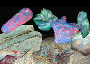 Umoona Opal Mine - Geraldton Accommodation 1