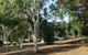 Mount Bundy Station - thumb 4
