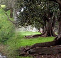 Rivergum Cottage - Geraldton Accommodation
