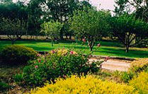 Naracoorte Cottages - Pinkerton Hill - Geraldton Accommodation 2