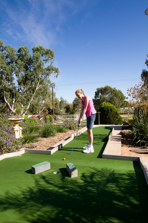 Avoca Dell Caravan Park - Geraldton Accommodation 2