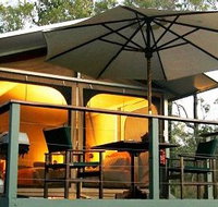 Jabiru Safari Lodge at Mareeba Wetlands - Geraldton Accommodation