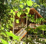 Rivers Edge Rainforest Retreat - Geraldton Accommodation