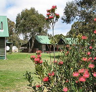 Derwent Bridge Chalets and Studios - Geraldton Accommodation