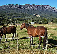 Hurlfield Farm Cottage - Geraldton Accommodation
