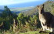 Rainbow Retreat Wilderness Eco Cabins - thumb 0