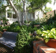 Topiary Haven - Geraldton Accommodation
