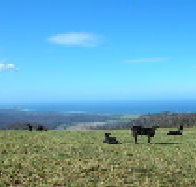 St Marys Seaview Farm - Geraldton Accommodation