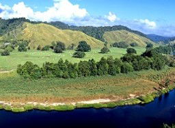 Tranquility On The Daintree - Geraldton Accommodation 2