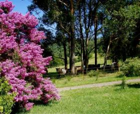 Figlea Cottages - Geraldton Accommodation 0