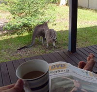 Bush and Bay Cottage - Geraldton Accommodation