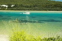 Wooli Camping And Caravan Park - Geraldton Accommodation 0