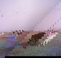 Seeview Farmstay - Geraldton Accommodation