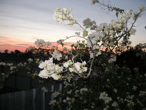 Sonjas Bed And Breakfast - Geraldton Accommodation 2