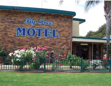 Fig Tree Motel - Geraldton Accommodation 0