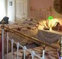 A Winter-Rose Cottage Bed and Breakfast - Geraldton Accommodation