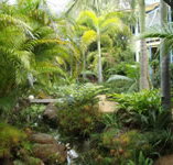 Chamomile Bed and Breakfast - Geraldton Accommodation