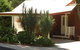 Ravensbourne Escape Kookaburra Kottage - thumb 5
