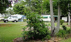 Lilyponds Holiday Park - Geraldton Accommodation 5